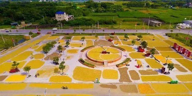 这个县城创造罚款收入下降“奇迹”开元ky棋牌政府大楼旁可以摆摊(图7)