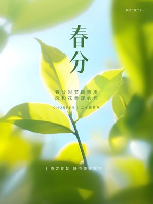 线四季牌阵咨询开放预约开元棋牌春分福利 北京(图6)